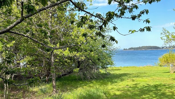 A wooden deck with a bench overlooking a grassy area and a body of water. - Charming, 2BR Oceanfront cottage with stunning views.  (Southwest Harbor)