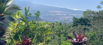 Breathtaking Ocean Views at Sunrise Sunset, 4BD, Pool, Wifi, Fruit Trees, Jungle