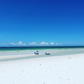Ein Strand mit blauem Himmel, ruhigem Meer und einem einzelnen blauen Liegestuhl.