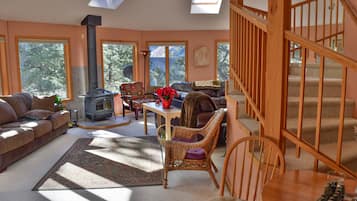 Télévision, cheminée, lecteur de DVD, livres