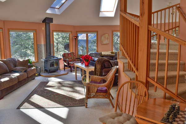 Télévision, cheminée, lecteur de DVD, livres