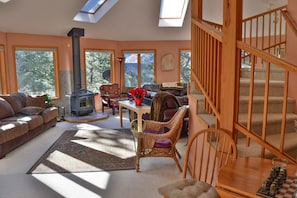 TV, fireplace, DVD player, books