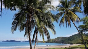 Una spiaggia con palme, cielo sereno e una catena montuosa in lontananza.