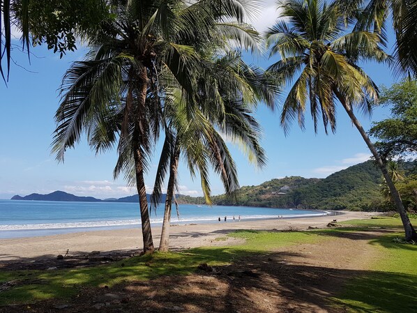 Beach nearby, sun loungers