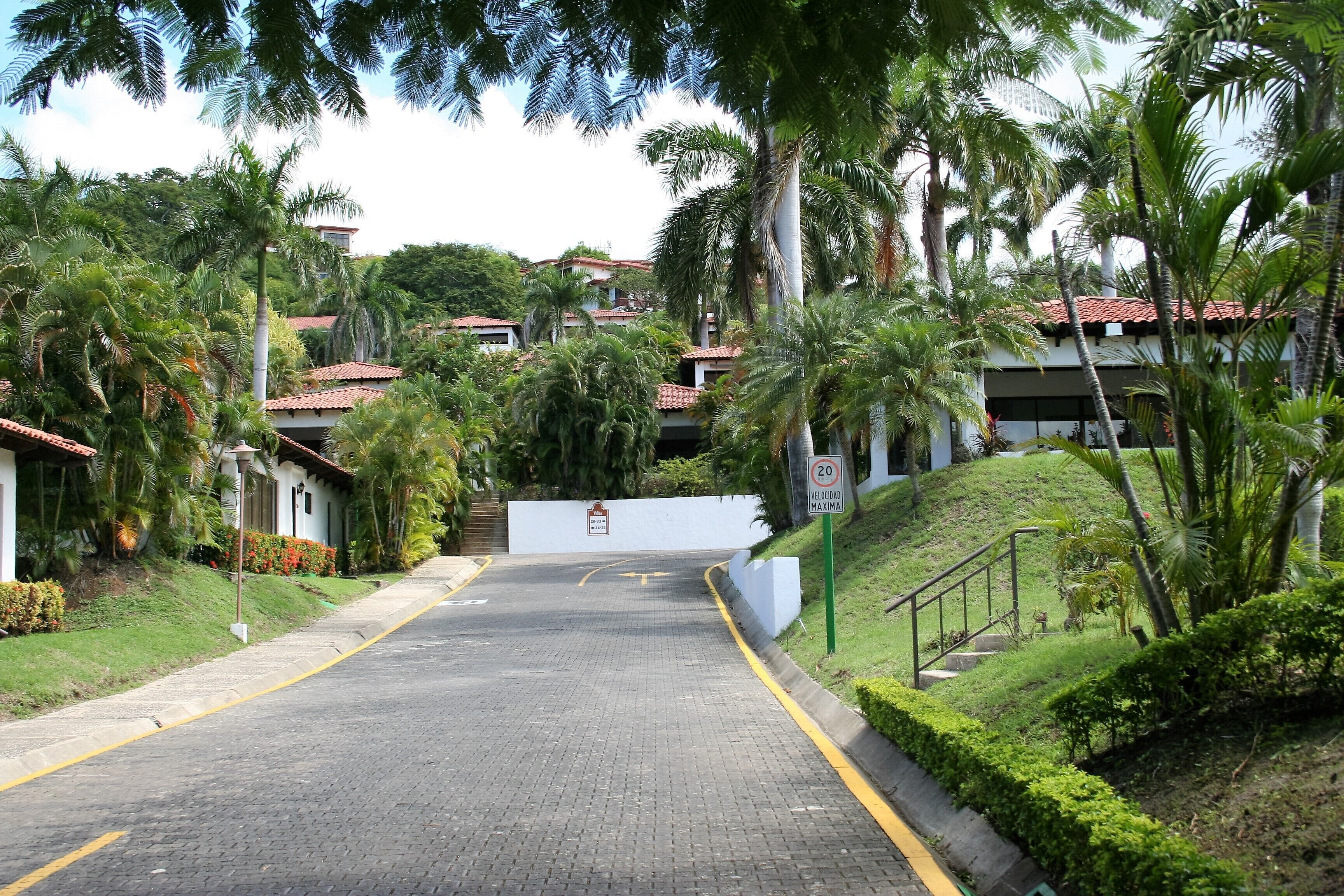 A paved road leading to a residential area with houses, palm trees, and a speed limit sign.