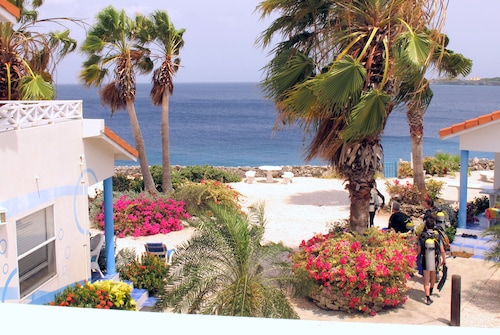 Curacao's Finest Diving is Just Steps Away From this Well-equipped Modern Villa.