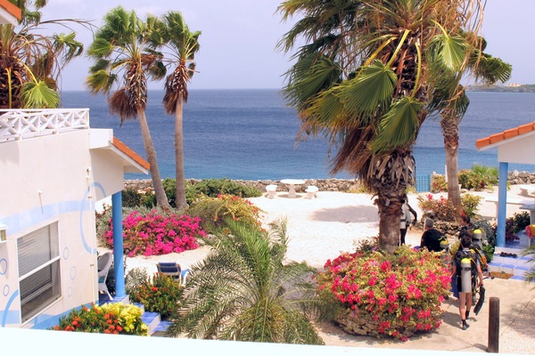 View from terrace, divers heading toward the stairs. (Open area in wall on Rt)