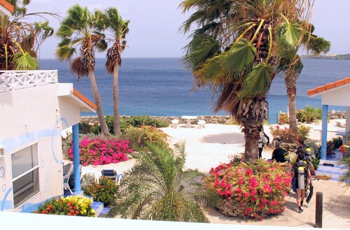 Curacao's Finest Diving is Just Steps Away From this Well-equipped Modern Villa.