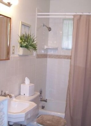 Combined shower/tub, hair dryer, towels