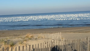 Una spiaggia con una recinzione in legno e un grande stormo di uccelli sopra l'acqua.