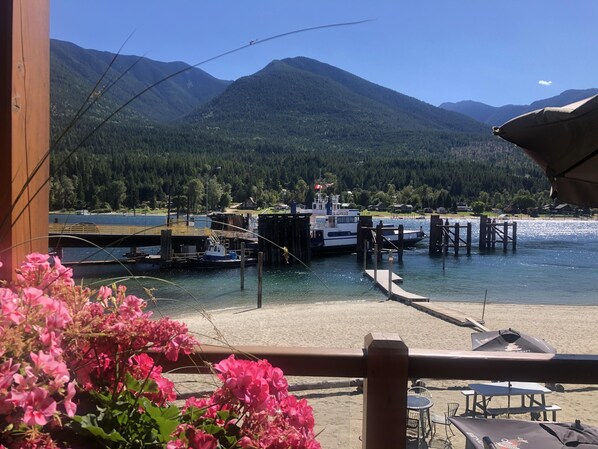 Área da propriedade