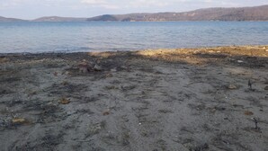 A sandy beach with scattered rocks and debris. - “A Shore Thing “ A Gorgeous Lakefront Home Steps Away From Beaver Lake (Garfield)