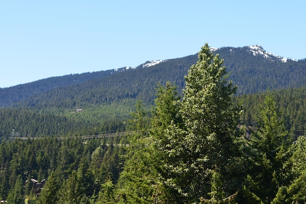 View from Condo and Deck