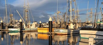 Ocean Breeze & Redwood Trees
