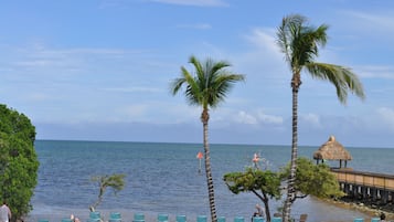 Piscine chauffée