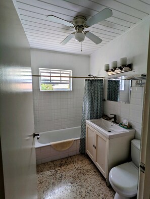 Combined shower/bathtub, hair dryer, towels, soap - Oceanfront Villa in Private  Residential Area (Groot Santa Martha)