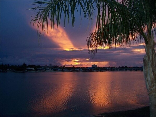 A sunset over a calm body of water with a palm tree in the foreground. - Enjoy Peaceful Sunsets at Club Bahia (St Petersburg)