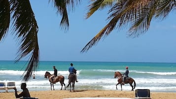 Am Strand, Liegestühle, Strandtücher