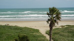 A beach with a palm tree, ocean waves, and a clear sky.