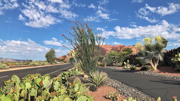 A desert landscape with a paved road, cacti, and a mountain in the background. - ENTRADA GATED STUNNING VIEWS Dog Friendly New Universal EV TESLA Charger    (Santa Clara)