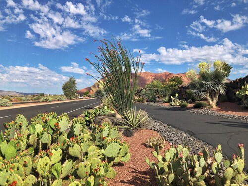 ENTRADA GATED STUNNING VIEWS Dog Friendly New Universal EV TESLA Charger