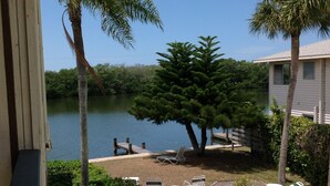 A pool with a view of a lake, surrounded by palm trees and a deck with lounge chairs.
