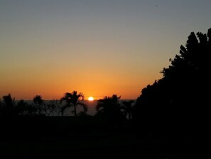Un atardecer sobre un paisaje costero con siluetas de palmeras y un horizonte despejado.