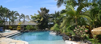 Mis dit geweldige huis niet voor uw vakantie.       