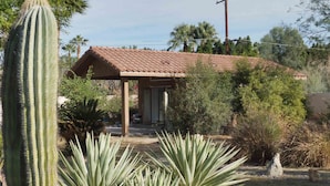 A house with a tiled roof, surrounded by various plants and a large cactus. - Custom Palm Desert Casita, perfect desert location (Palm Desert)