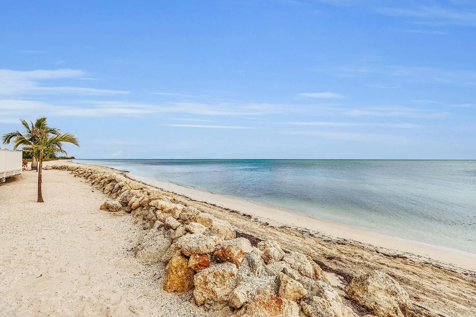 Une plage avec un palmier et une côte rocheuse.