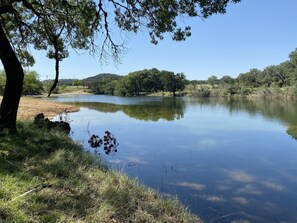 Ein ruhiger See, umgeben von Bäumen und saftigen Ufern.