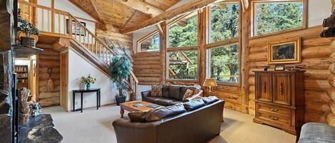 Smart TV, fireplace, DVD player, books