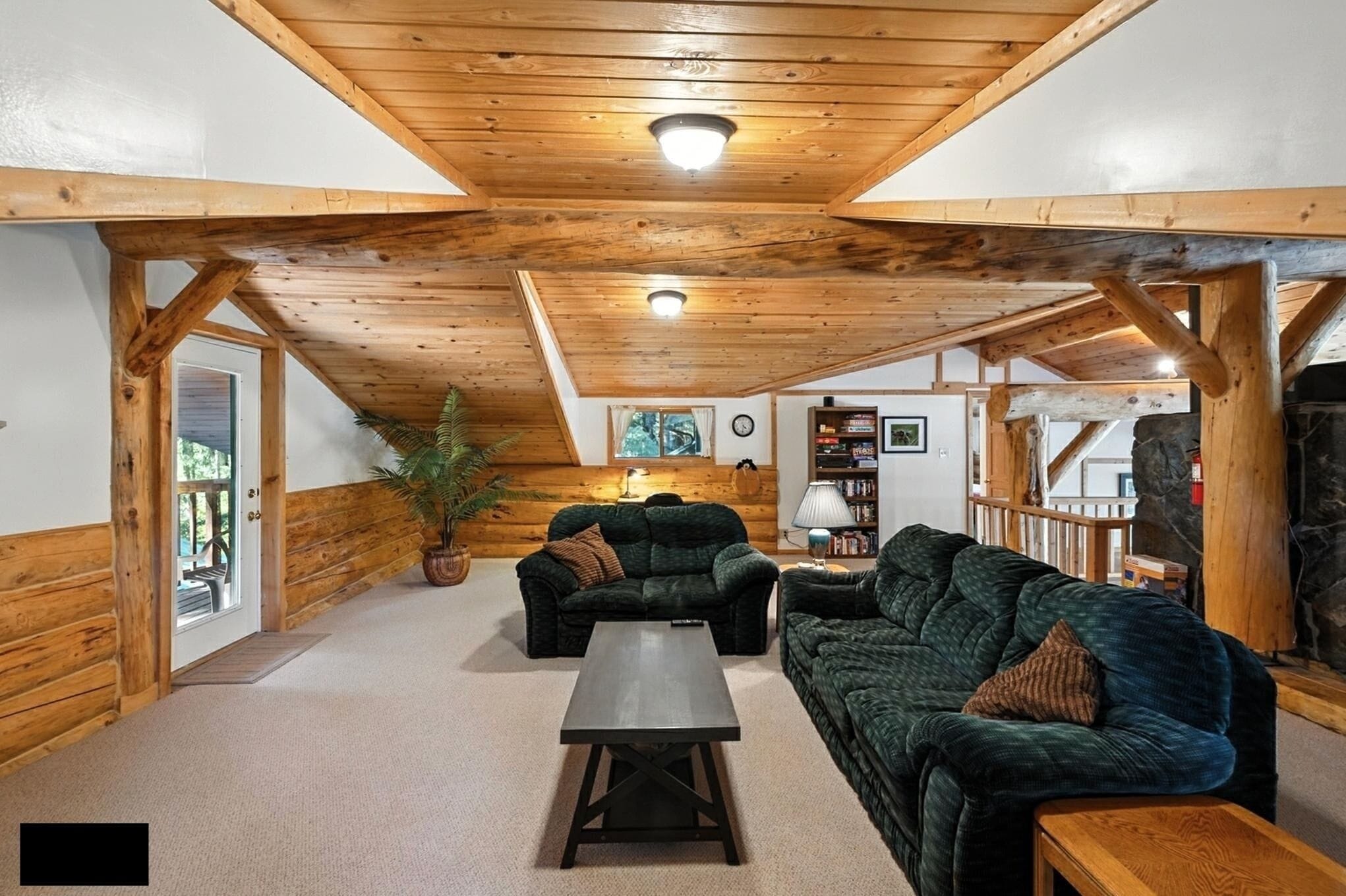 Smart TV, fireplace, DVD player, books