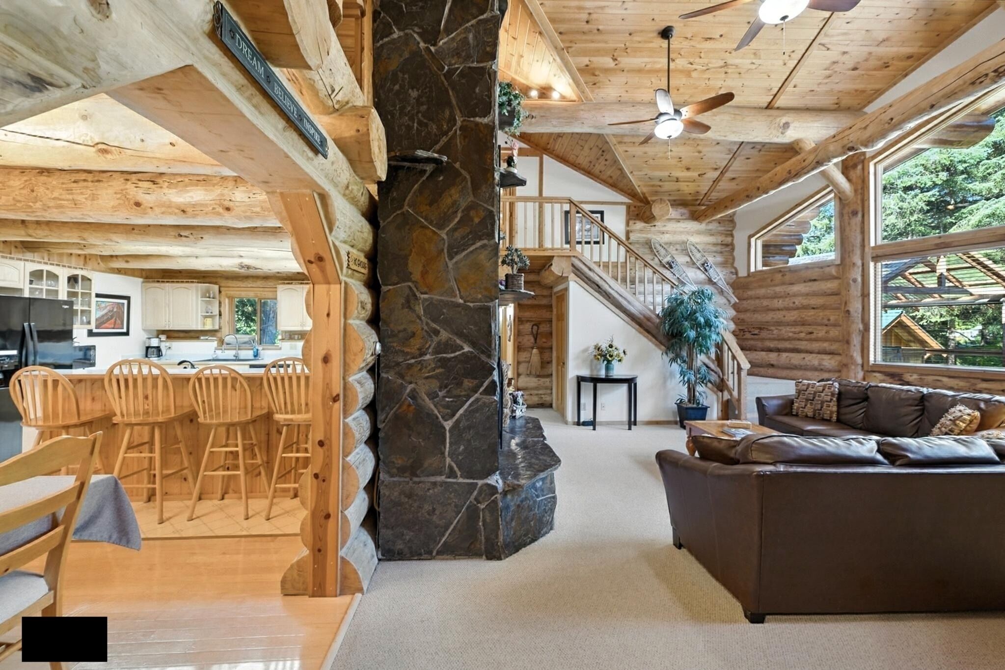 Smart TV, fireplace, DVD player, books