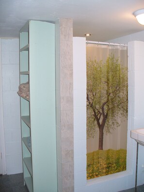 Bathtub, hair dryer, towels, soap