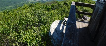 Private, Cozy Cottage Nestled On Peter's Mountain.