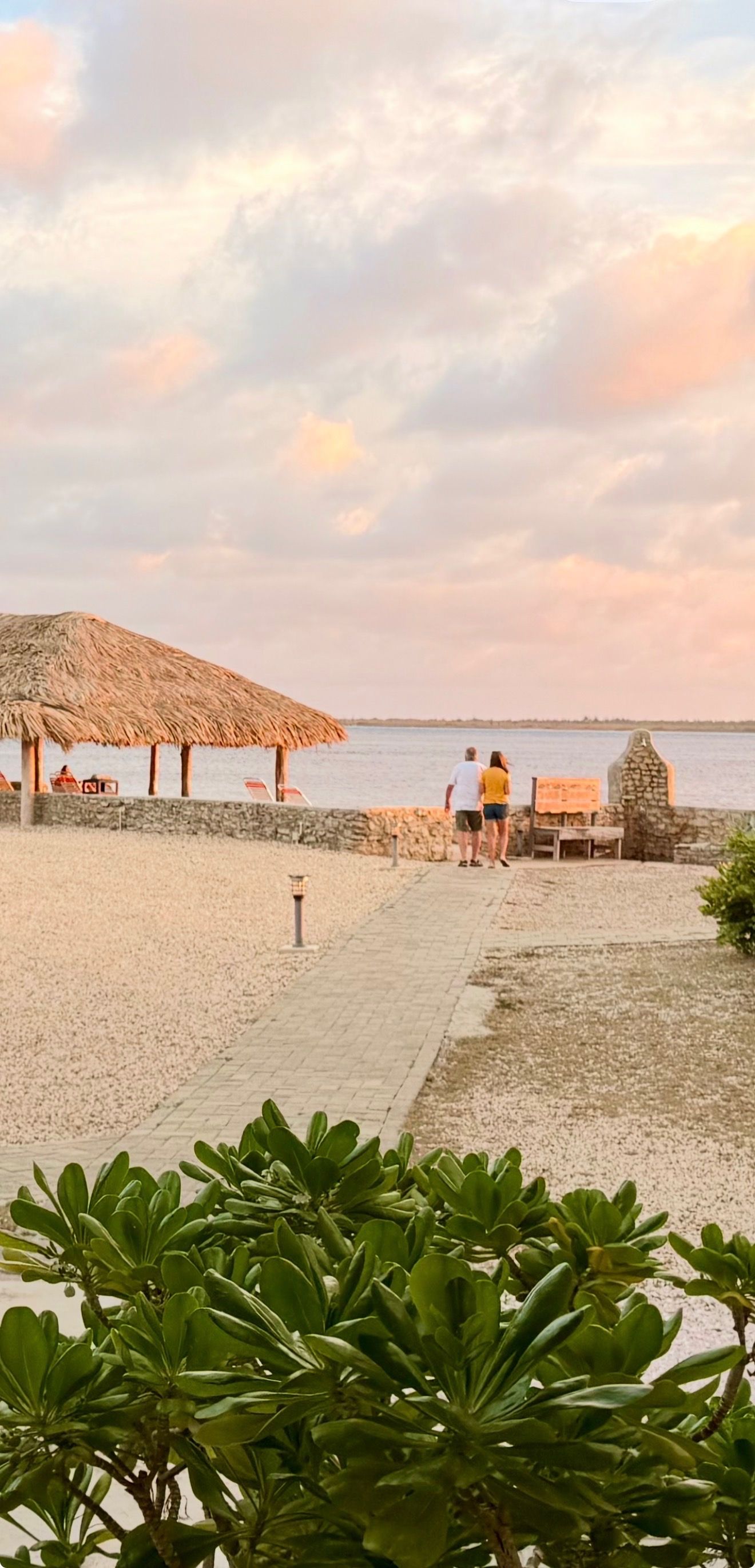 A beachside walkway leading to a thatched-roof structure, a stone wall, and a bench.