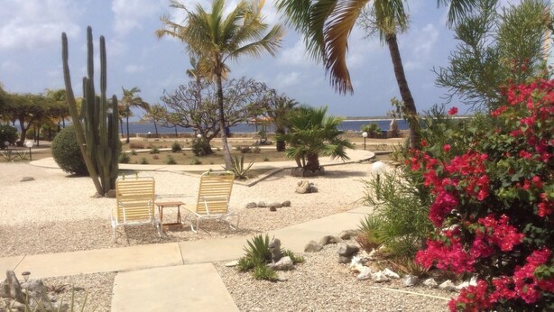 A garden with a seating area, palm trees, and a view of the sea. - Well-maintained Sand Dollar Oceanfront Condo F-9 with new kitchen (Kralendijk)