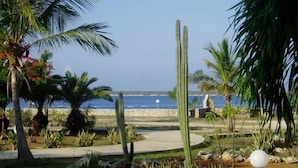 A landscaped garden with palm trees, cacti, and a view of the sea. - Well-maintained Sand Dollar Oceanfront Condo F-9 with new kitchen (Kralendijk)