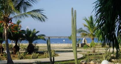 Hyvin hoidettu Sand Dollar Oceanfront Condominium F-9