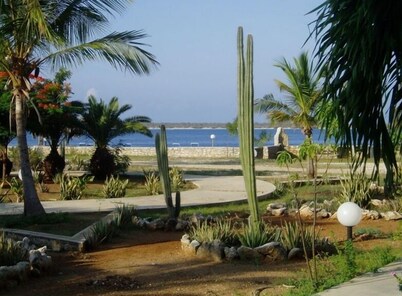 Well-maintained Sand Dollar Oceanfront Condo F-9 with new kitchen