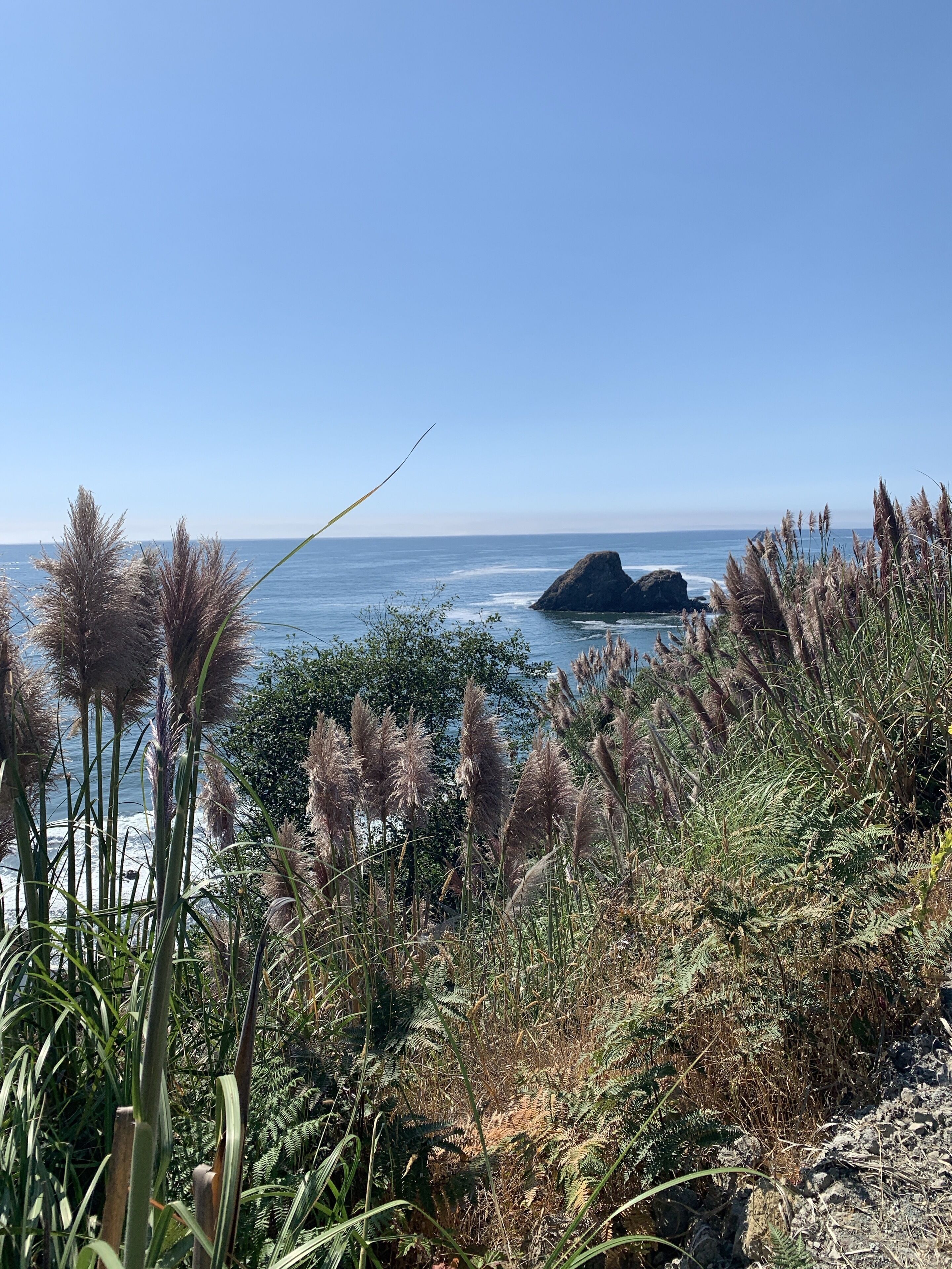 A coastal landscape with a rocky outcrop and dense vegetation in the foreground.