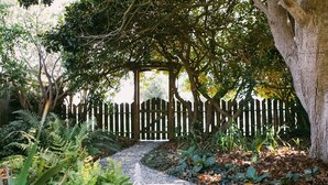 Un sendero de jardín que conduce a una puerta de madera, rodeado de abundante vegetación y árboles.