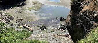 Cozy pet friendly cottage, 2 minute drive to Moonstone Beach