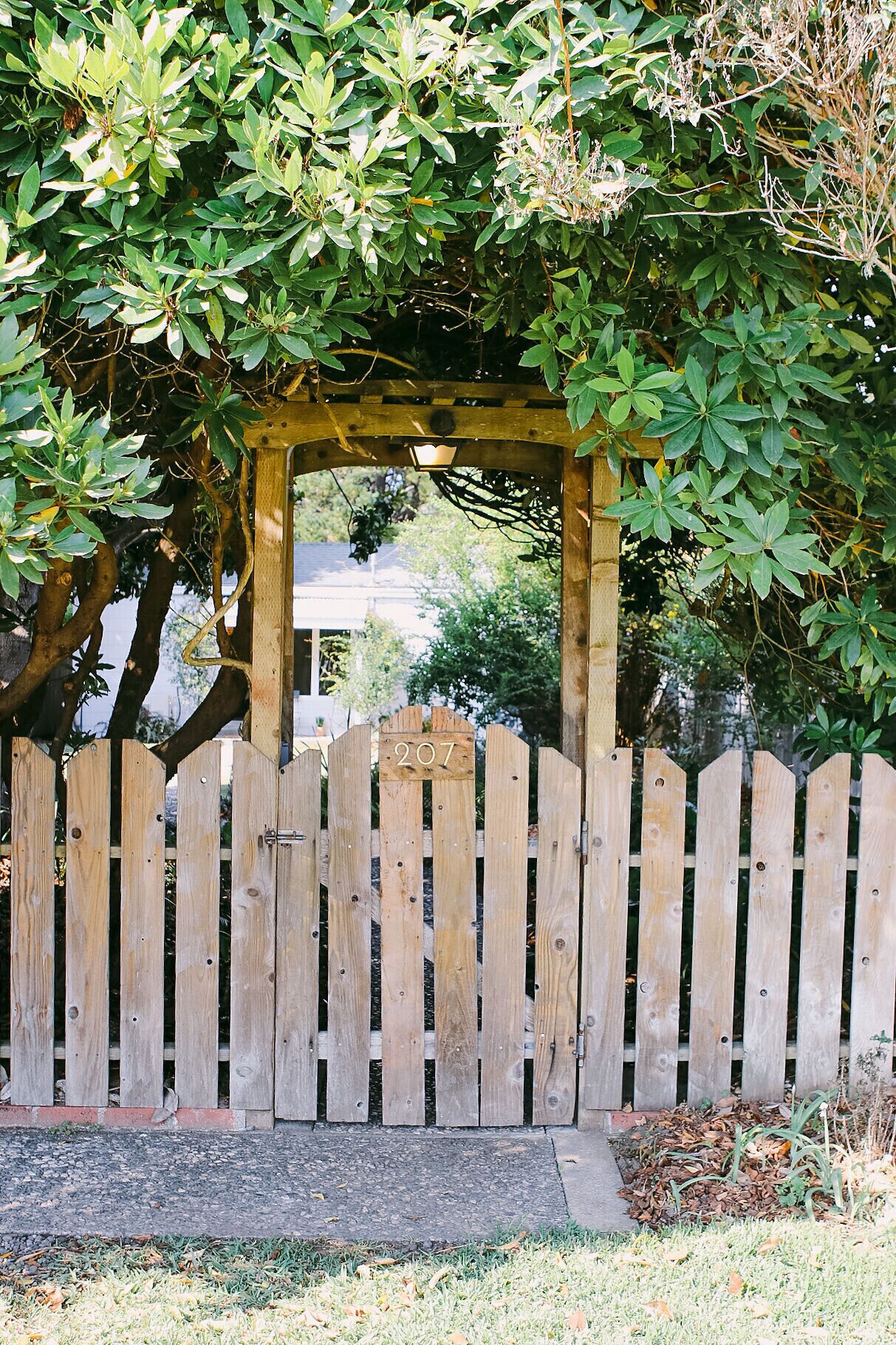 A wooden pergola with a picket fence in front, surrounded by lush greenery.