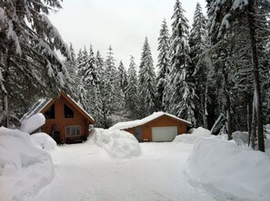 Exterior - The ONLY sled-in-sled-out Log Chalet at Eagle Pass (Malakwa)