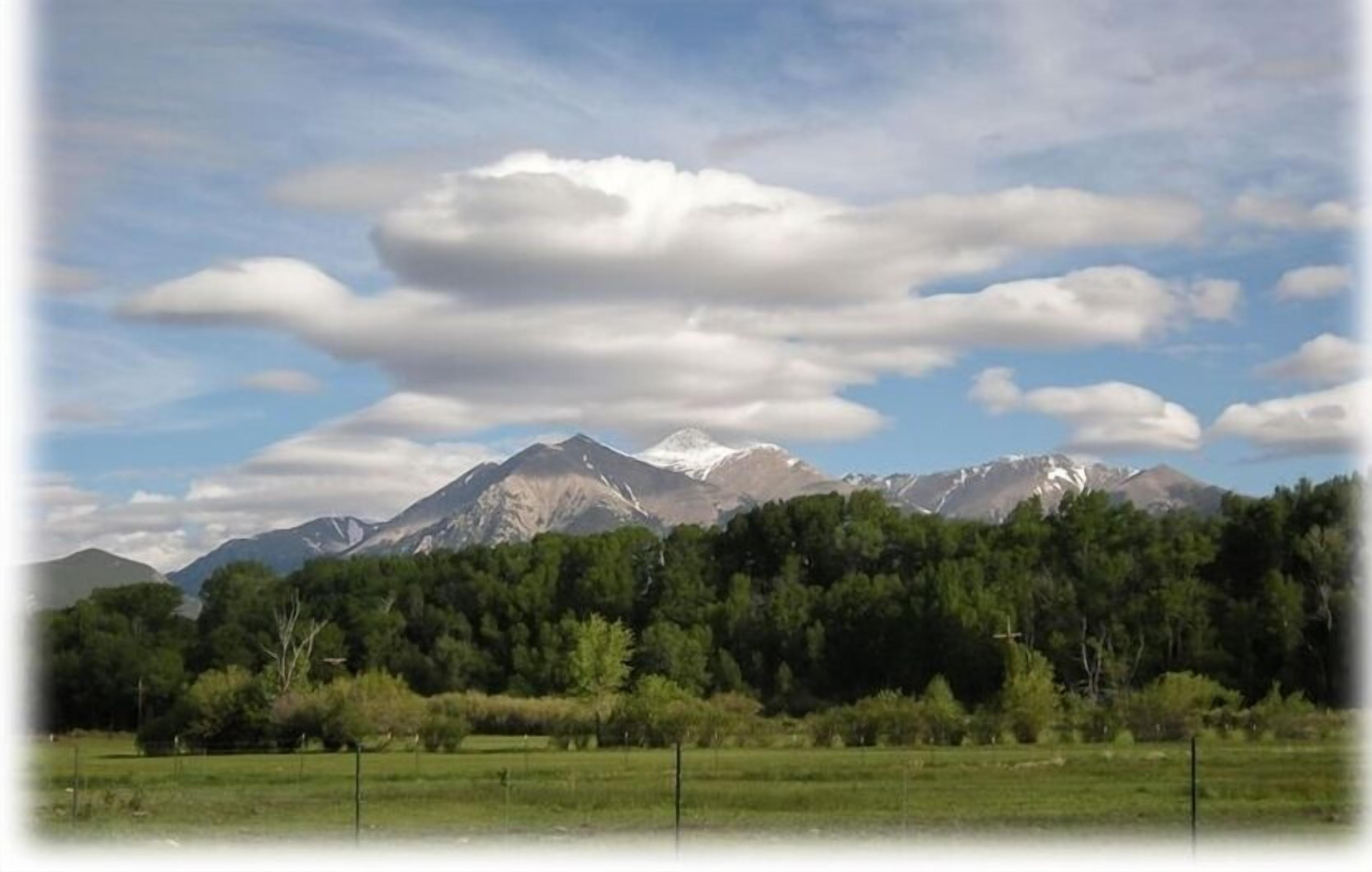 A mountainous landscape with a forested area in the foreground and snow-capped peaks in the background.