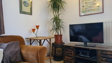 TV, video games, DVD player, books