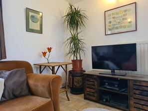 Televisión, videojuegos, reproductor de DVD y libros 