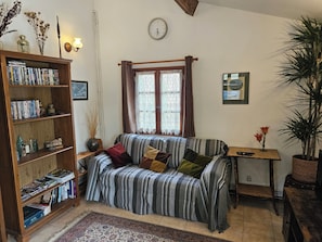 TV, video games, DVD player, books